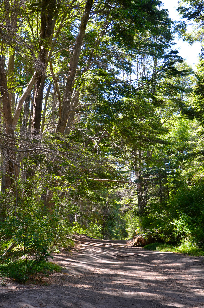 Villa la Angostura 2015 - Mirador Belvedere y cascada Inacayal