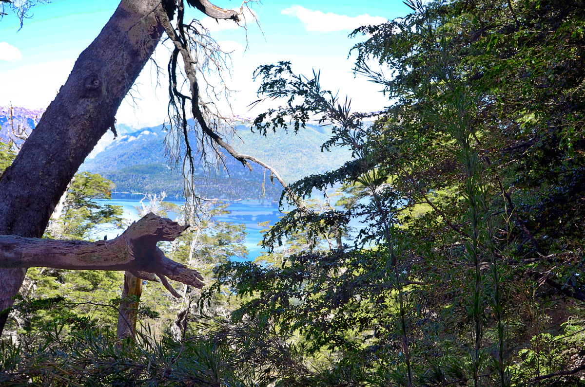 Villa la Angostura 2015 - Mirador Belvedere y cascada Inacayal