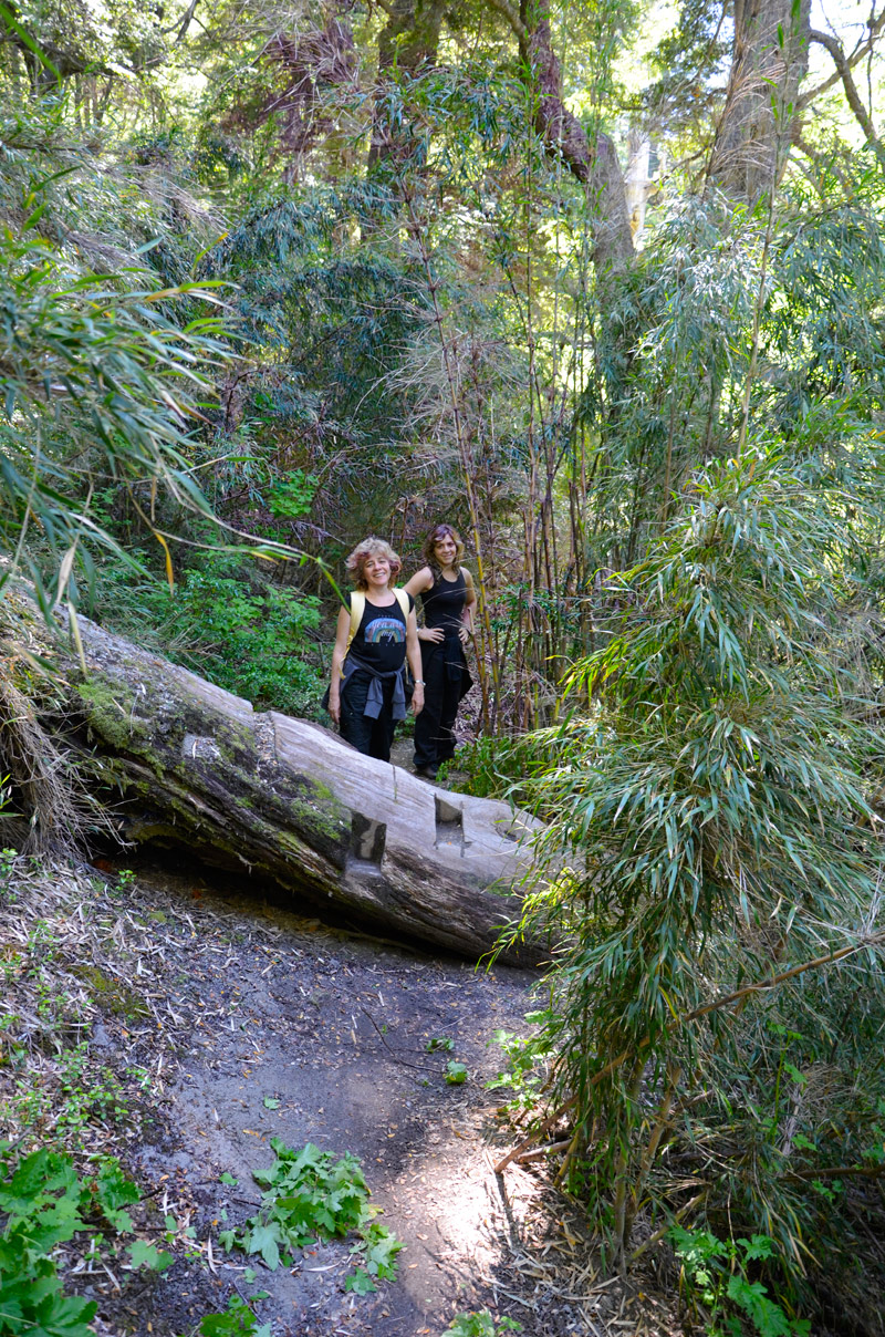 Villa la Angostura 2015 - Mirador Belvedere y cascada Inacayal