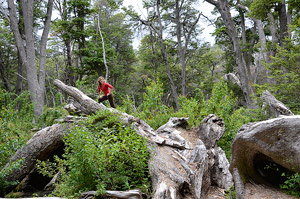 Villa la Angostura 2015 - Viejo Coihue - Bah&iacute;a Ultima Esperanza
