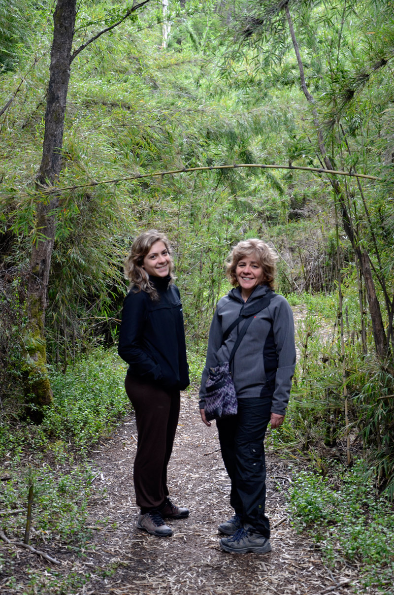 Villa la Angostura 2015 - Viejo Coihue - Bahia &uacute;ltima esperanza