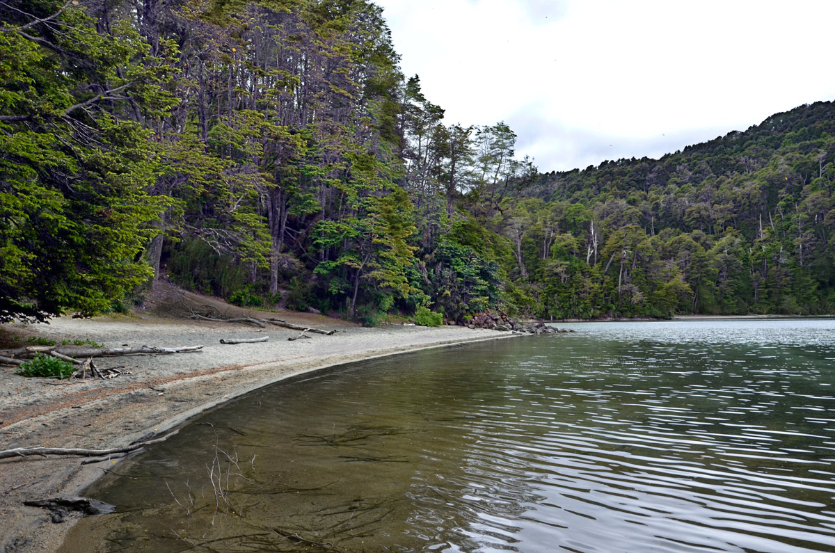 Villa la Angostura 2015 - Viejo Coihue - Bahia &uacute;ltima esperanza
