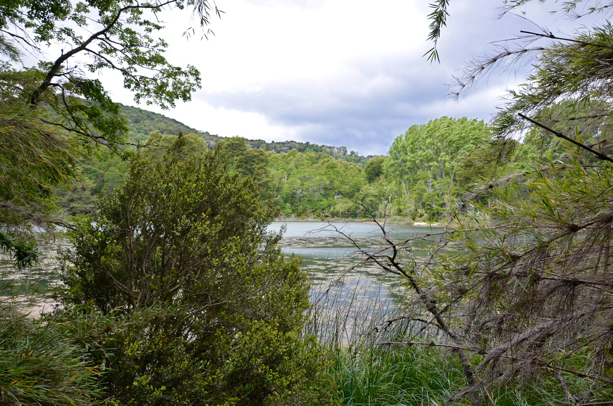 Villa la Angostura 2015 - Viejo Coihue - Bahia &uacute;ltima esperanza