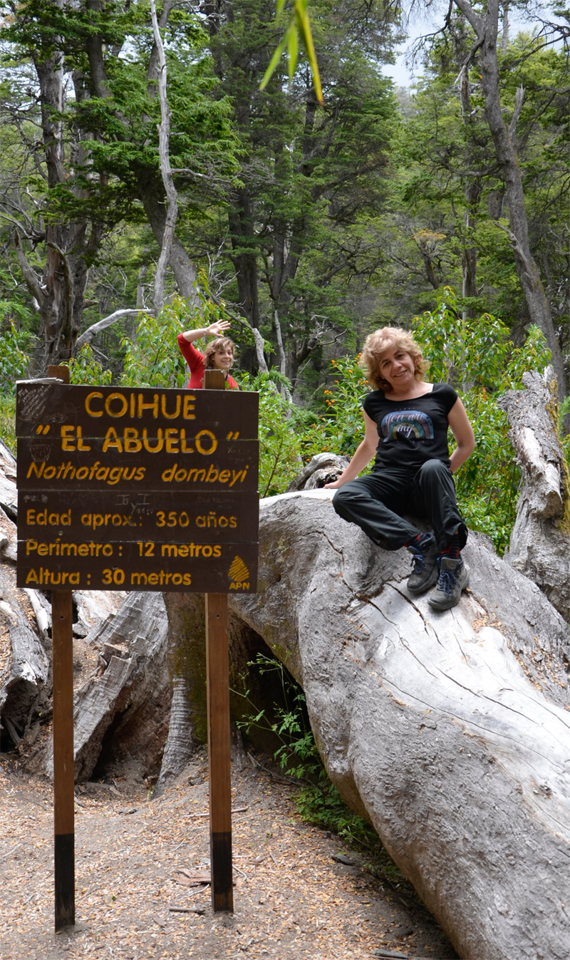 Villa la Angostura 2015 - Viejo Coihue - Bahia &uacute;ltima esperanza