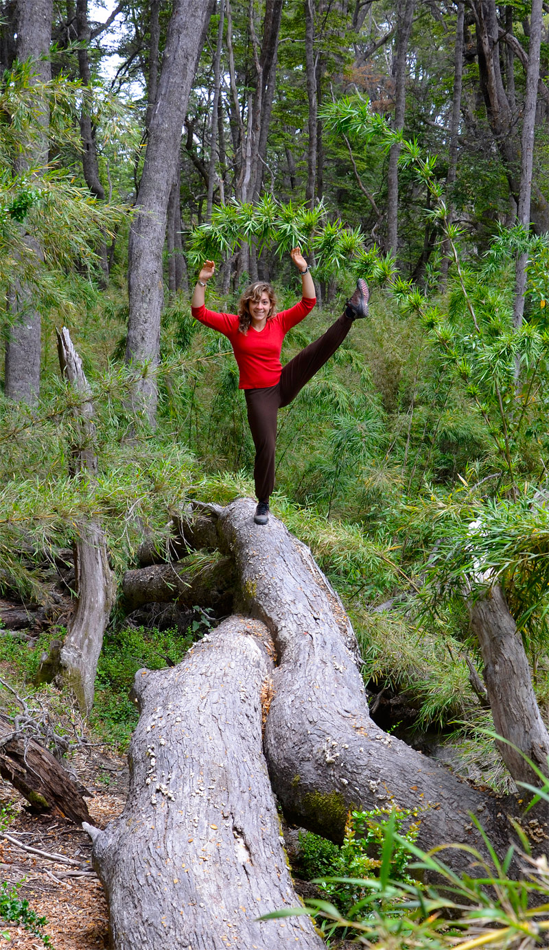 Villa la Angostura 2015 - Viejo Coihue - Bahia &uacute;ltima esperanza