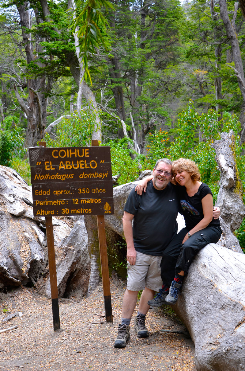 Villa la Angostura 2015 - Viejo Coihue - Bahia &uacute;ltima esperanza