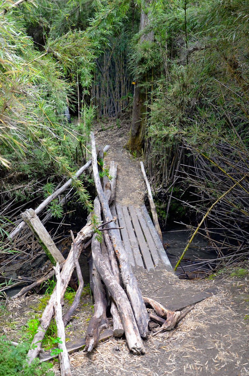 Villa la Angostura 2015 - Viejo Coihue - Bahia &uacute;ltima esperanza