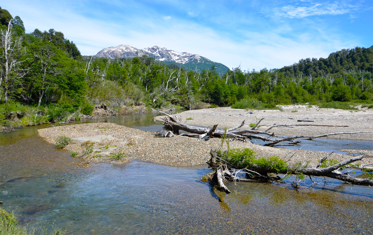 Villa la Angostura 2015 - Cascada �ivinko