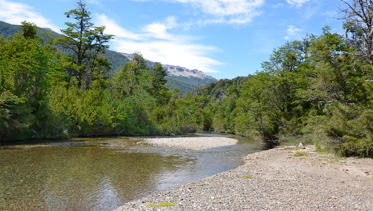 Villa la Angostura 2015 - Cascada �ivinko