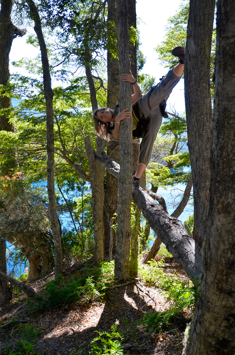 Villa la Angostura 2015 - Pen&iacute;nsula de Quetrihu&eacute; - Bosque de Arrayanes