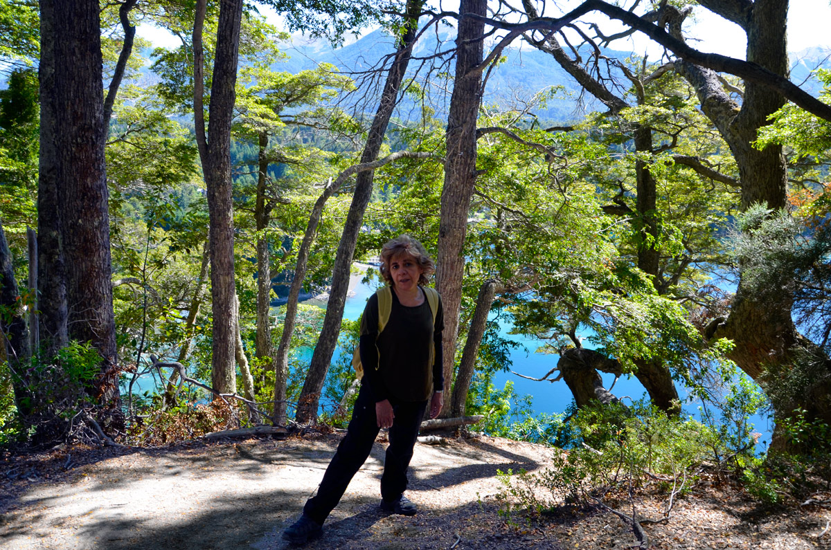 Villa la Angostura 2015 - Pen&iacute;nsula de Quetrihu&eacute; - Bosque de Arrayanes