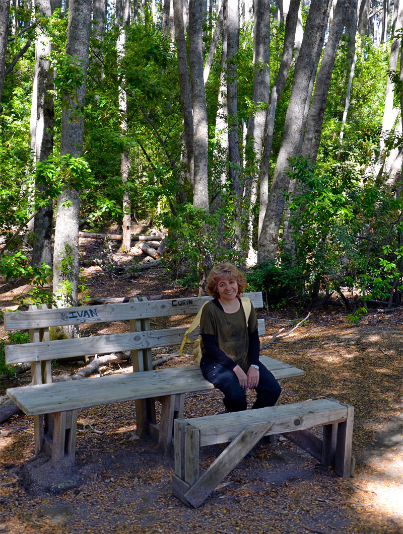 Villa la Angostura 2015 - Pen&iacute;nsula de Quetrihu&eacute; - Bosque de Arrayanes