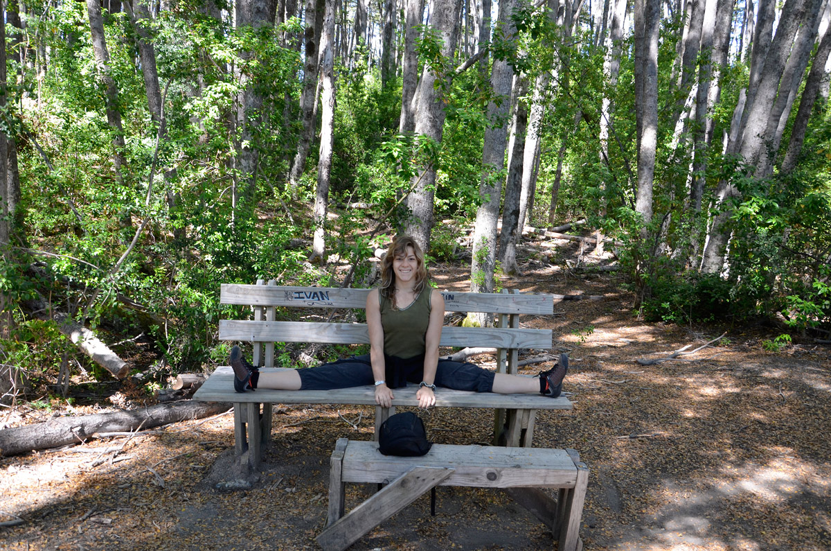 Villa la Angostura 2015 - Pen&iacute;nsula de Quetrihu&eacute; - Bosque de Arrayanes