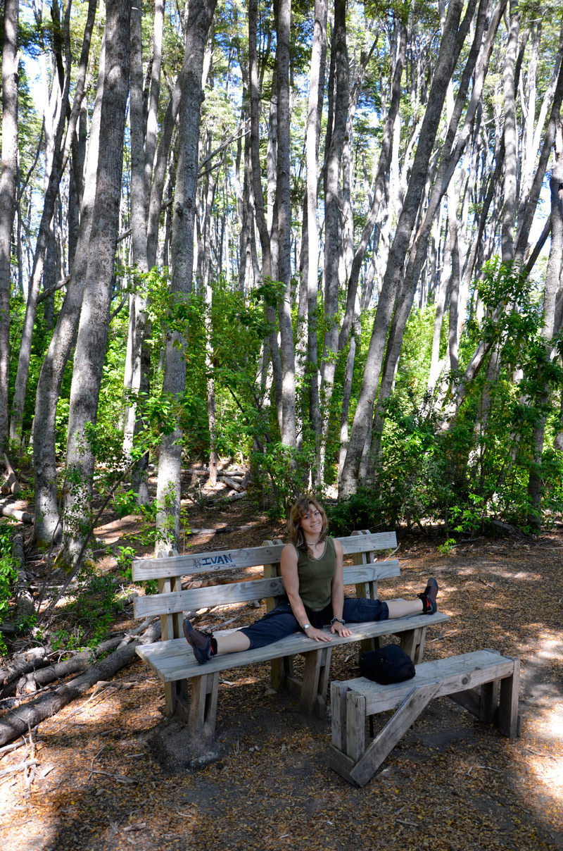 Villa la Angostura 2015 - Pen&iacute;nsula de Quetrihu&eacute; - Bosque de Arrayanes