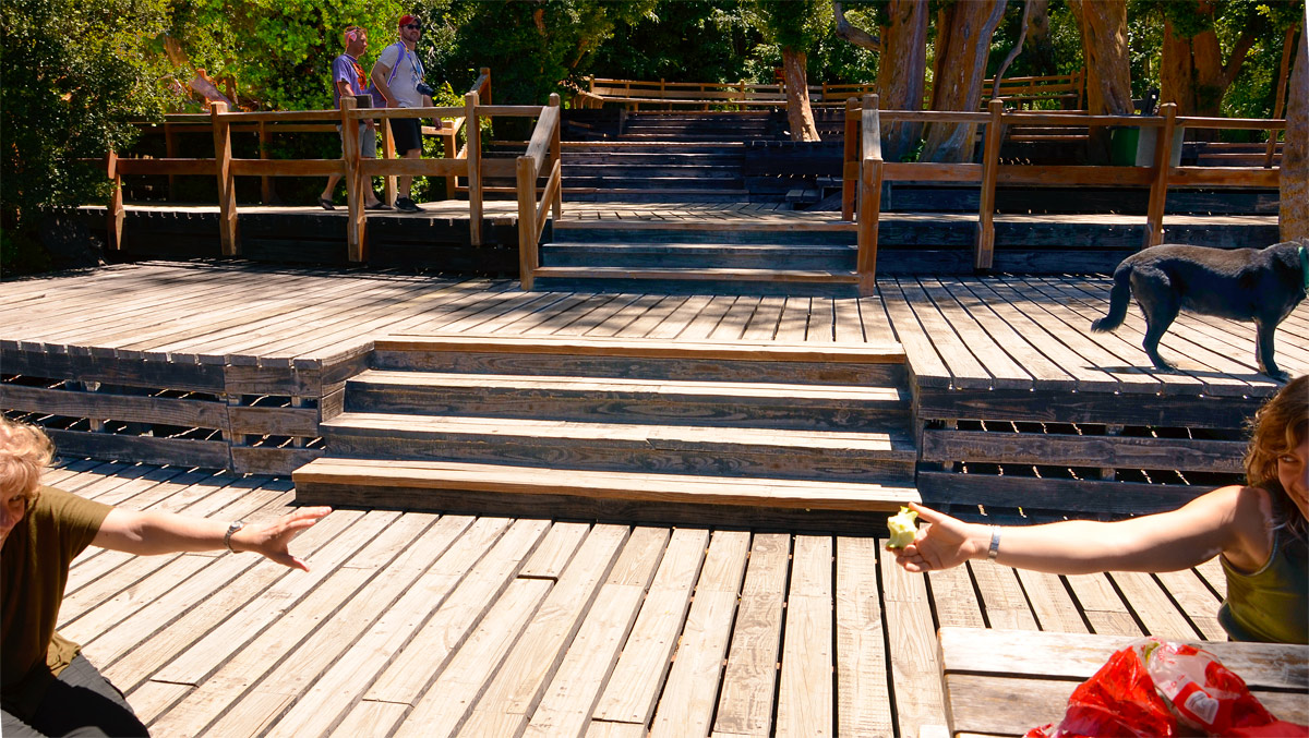 Villa la Angostura 2015 - Pen&iacute;nsula de Quetrihu&eacute; - Bosque de Arrayanes