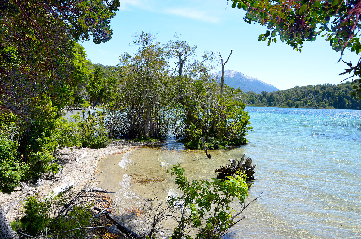 Villa la Angostura 2015 - Peninsula Quetrihu&eacute; - Bosque Arrayanes