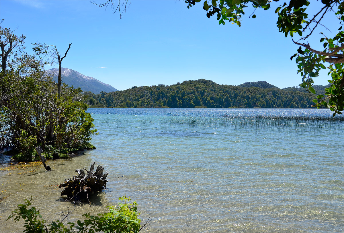 Villa la Angostura 2015 - Peninsula Quetrihu&eacute; - Bosque Arrayanes