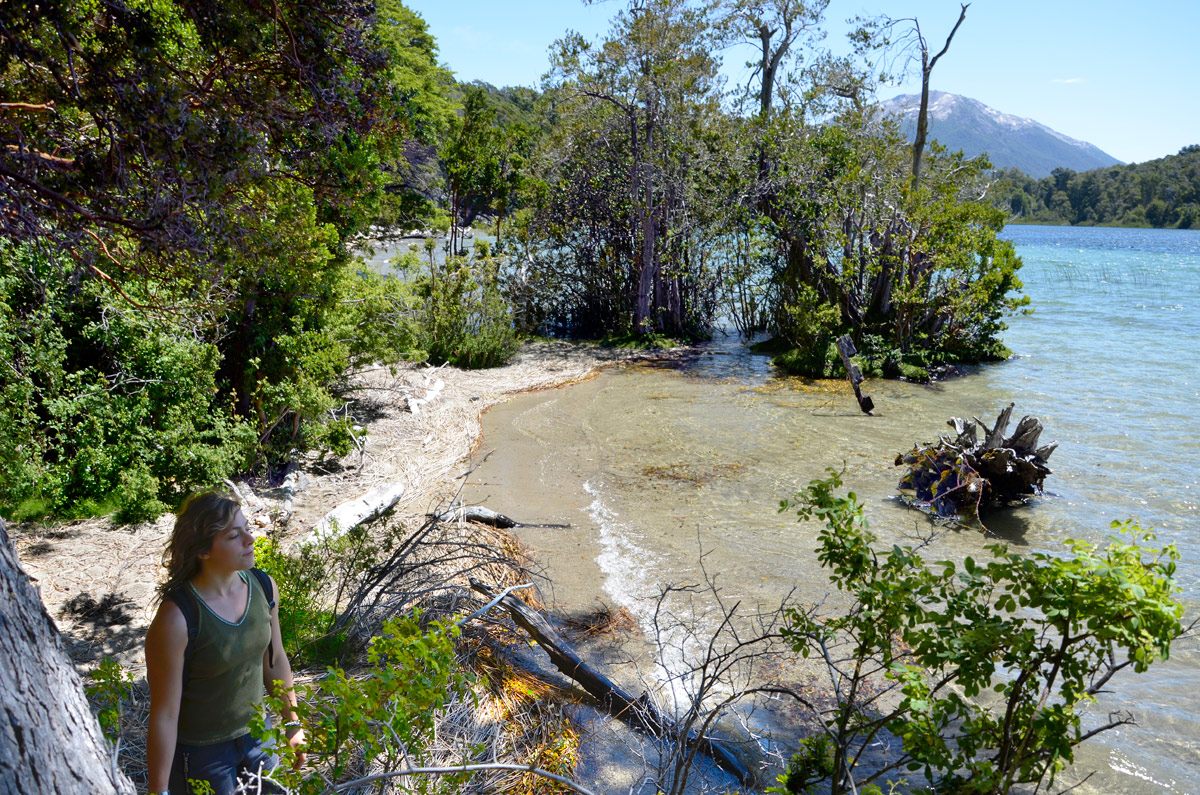 Villa la Angostura 2015 - Peninsula Quetrihu&eacute; - Bosque Arrayanes