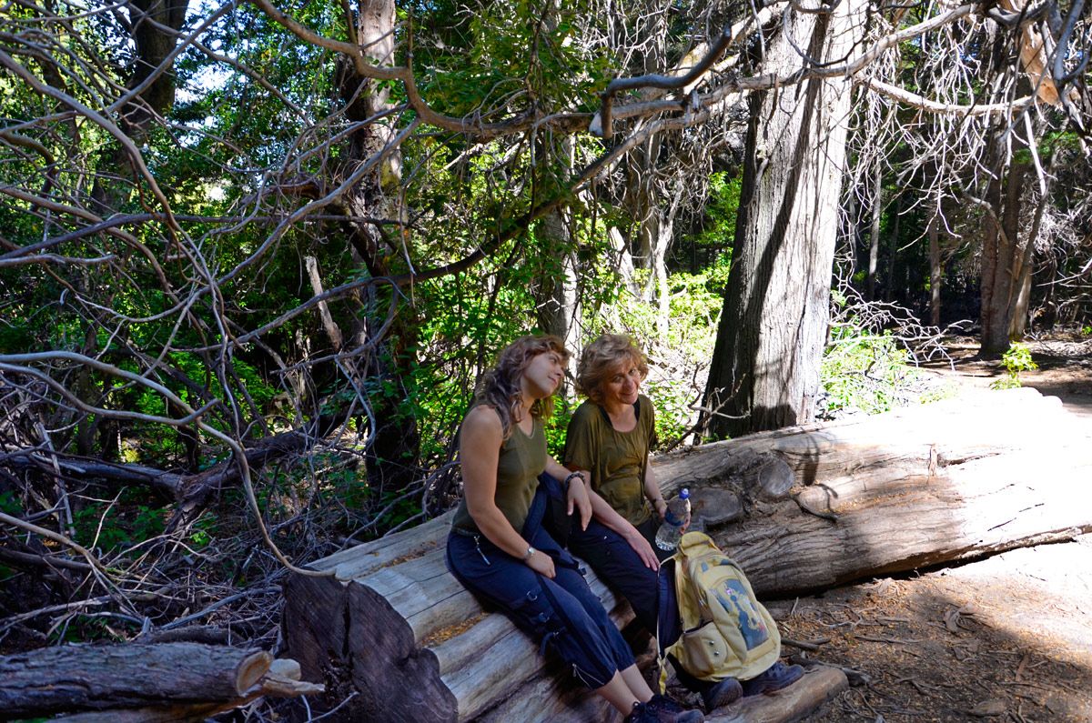 Villa la Angostura 2015 - Peninsula Quetrihu&eacute; - Bosque Arrayanes