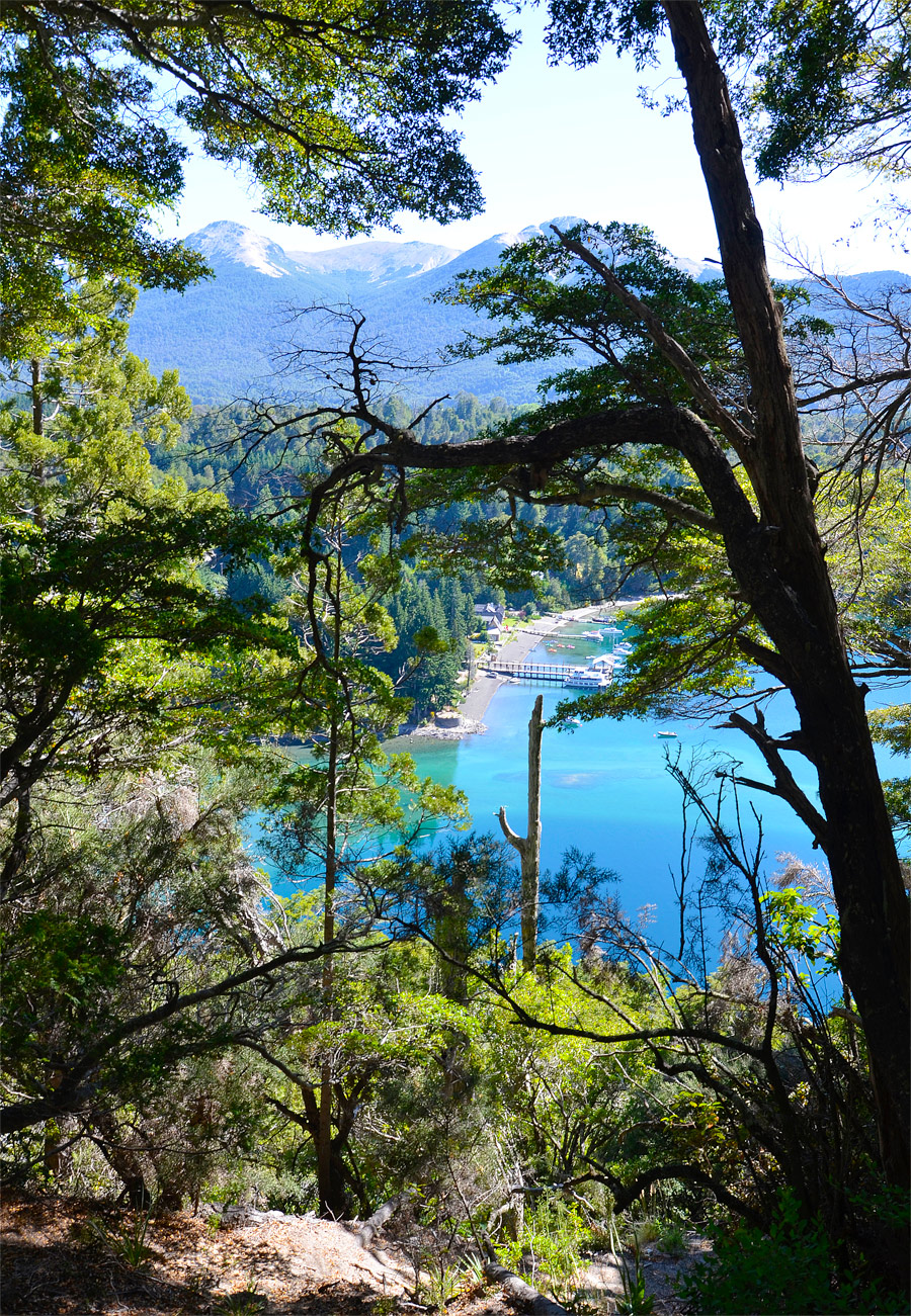 Villa la Angostura 2015 - Peninsula de Quetrihu&eacute; - Bosque de Arrayanes