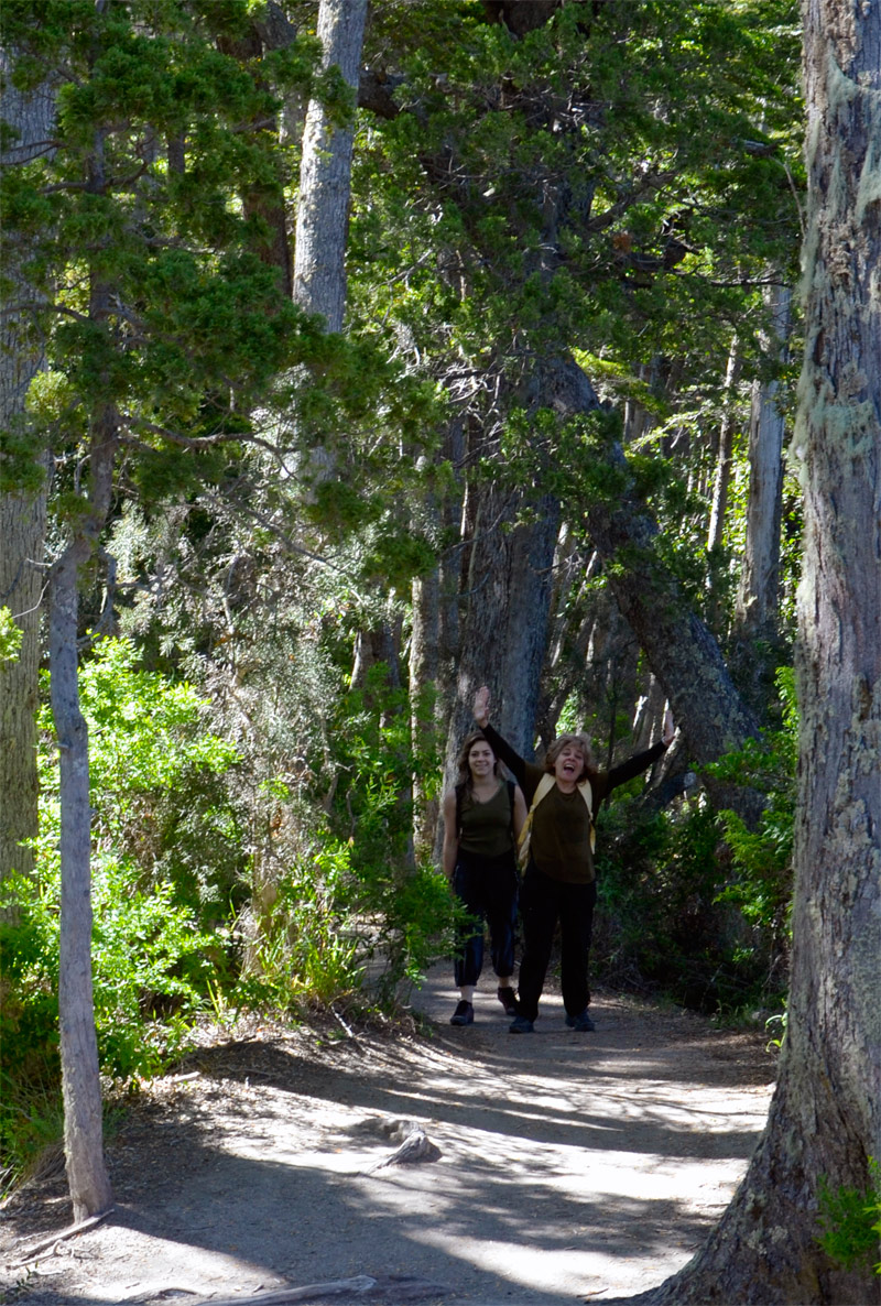 Villa la Angostura 2015 - Peninsula de Quetrihu&eacute; - Bosque de Arrayanes