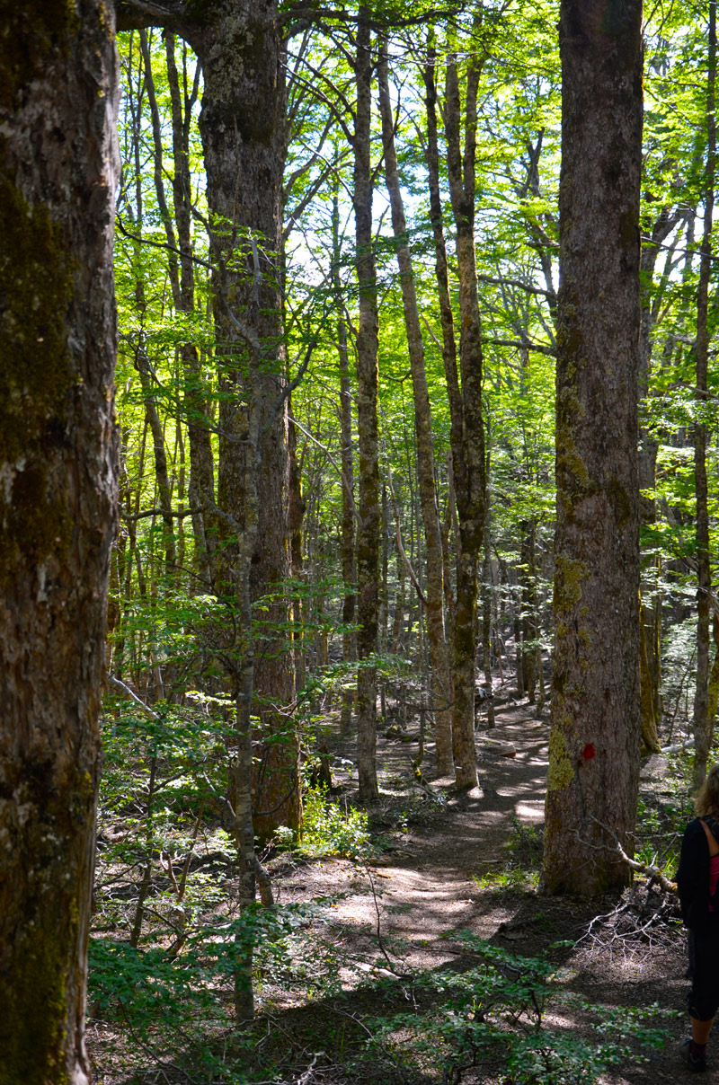 Cascada Santa Ana - Villa la Angostura 2015