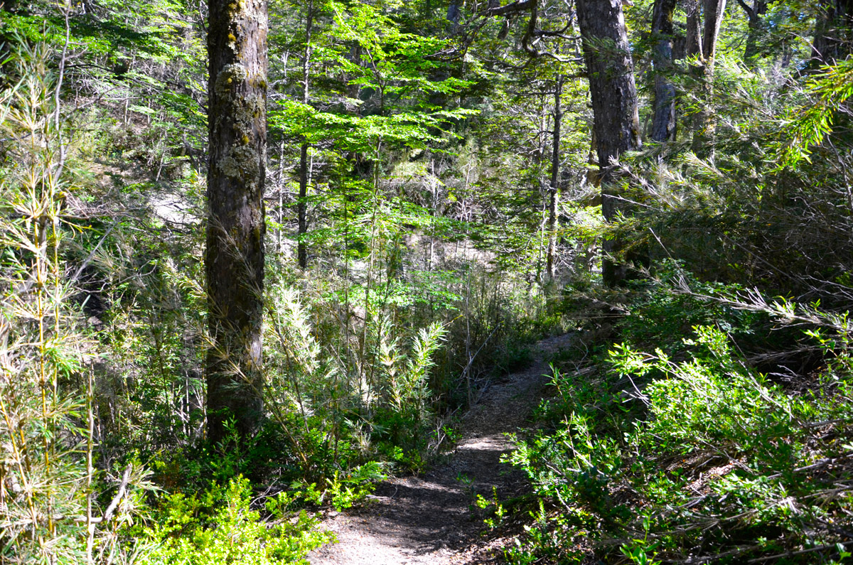 Cascada Santa Ana - Villa la Angostura 2015