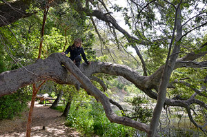 Villa la Angostura 2015 -  Laguna Verde