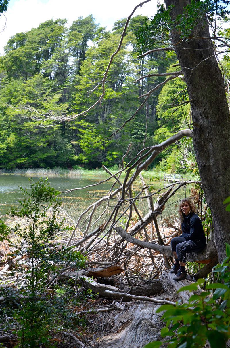 Villa la Angostura 2015 -  Laguna Verde