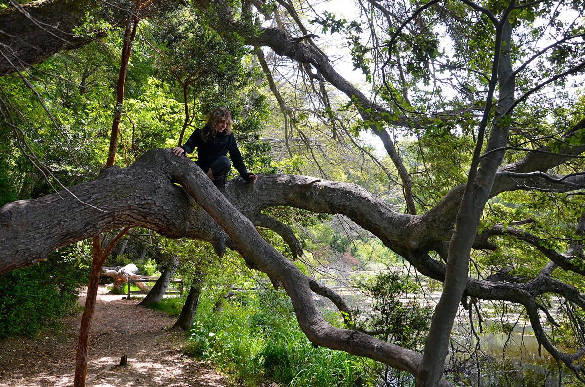 Villa la Angostura 2015 -  Laguna Verde
