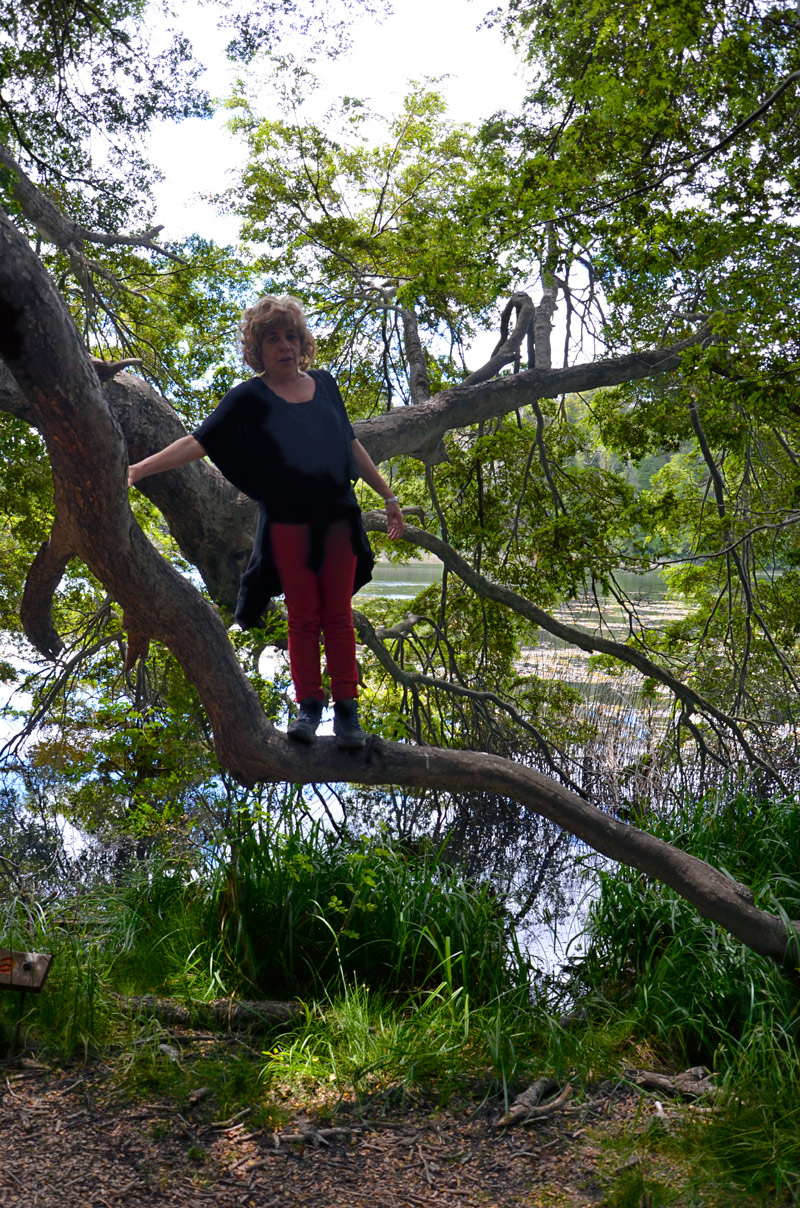 Villa la Angostura 2015 -  Laguna Verde