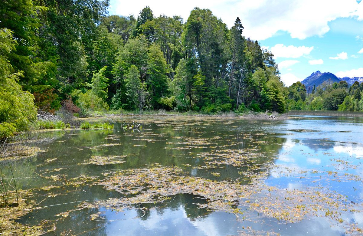 Villa la Angostura 2015 -  Laguna Verde