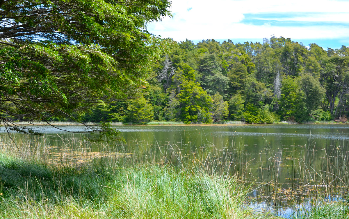 Villa la Angostura 2015 -  Laguna Verde
