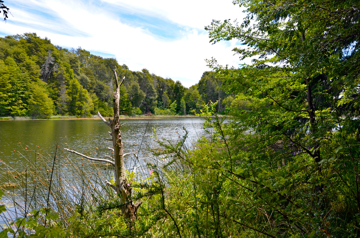 Villa la Angostura 2015 -  Laguna Verde