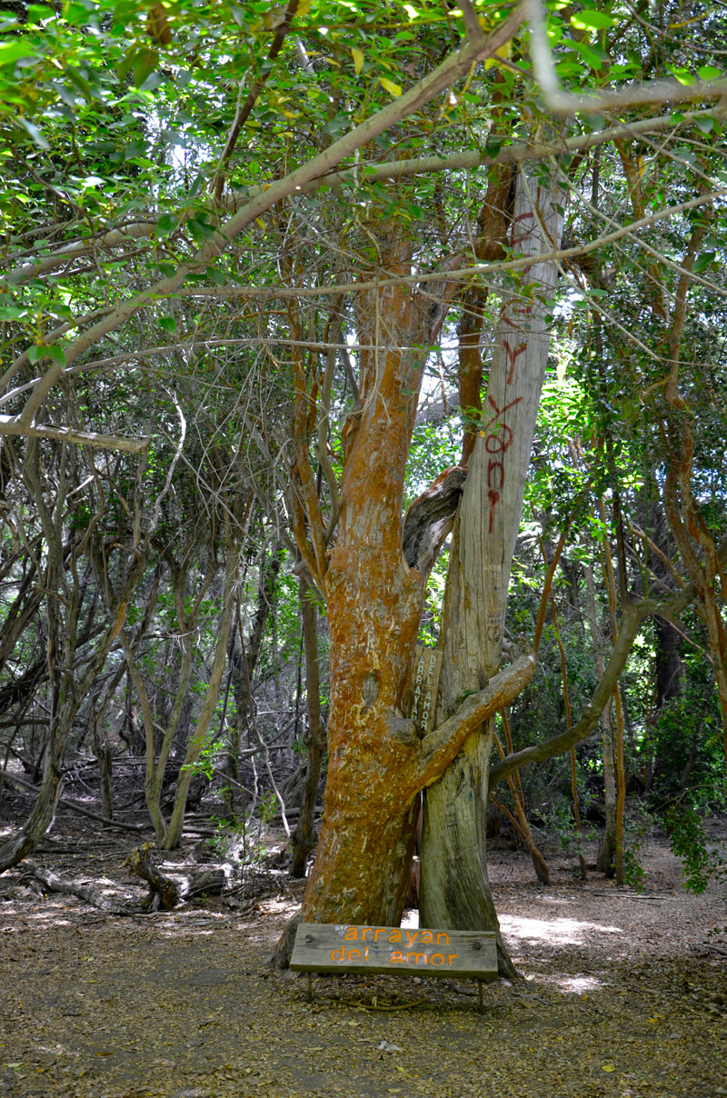 Villa la Angostura 2015 -  Laguna Verde