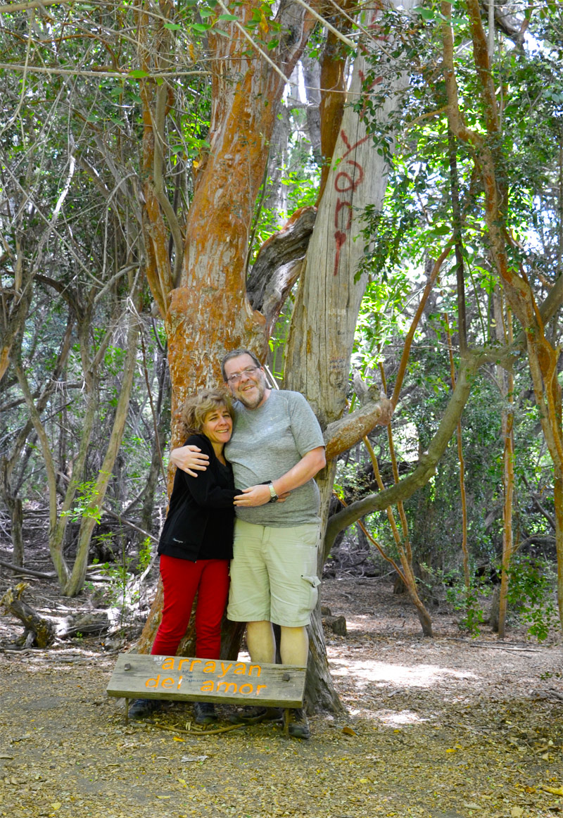Villa la Angostura 2015 -  Laguna Verde