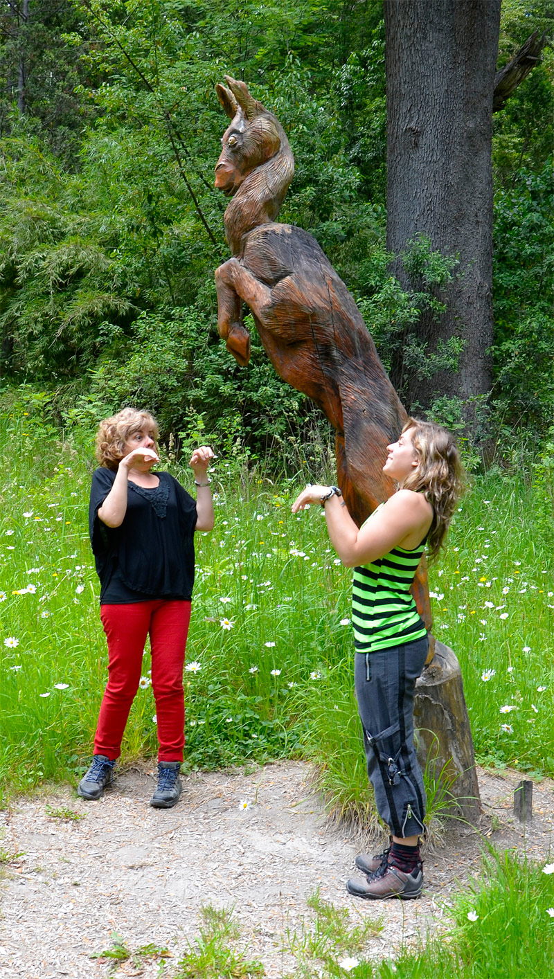 Villa la Angostura 2015