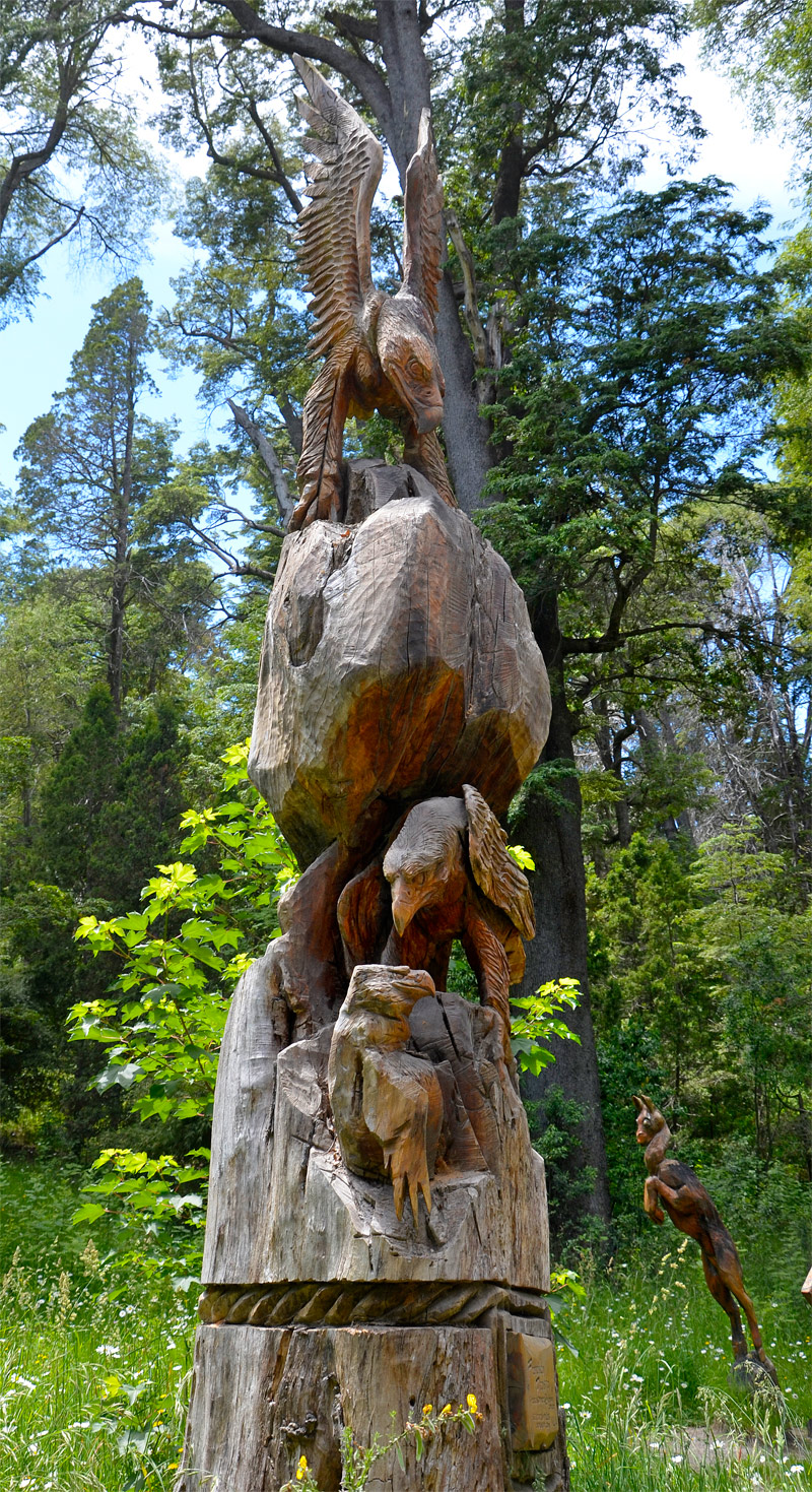 Villa la Angostura 2015