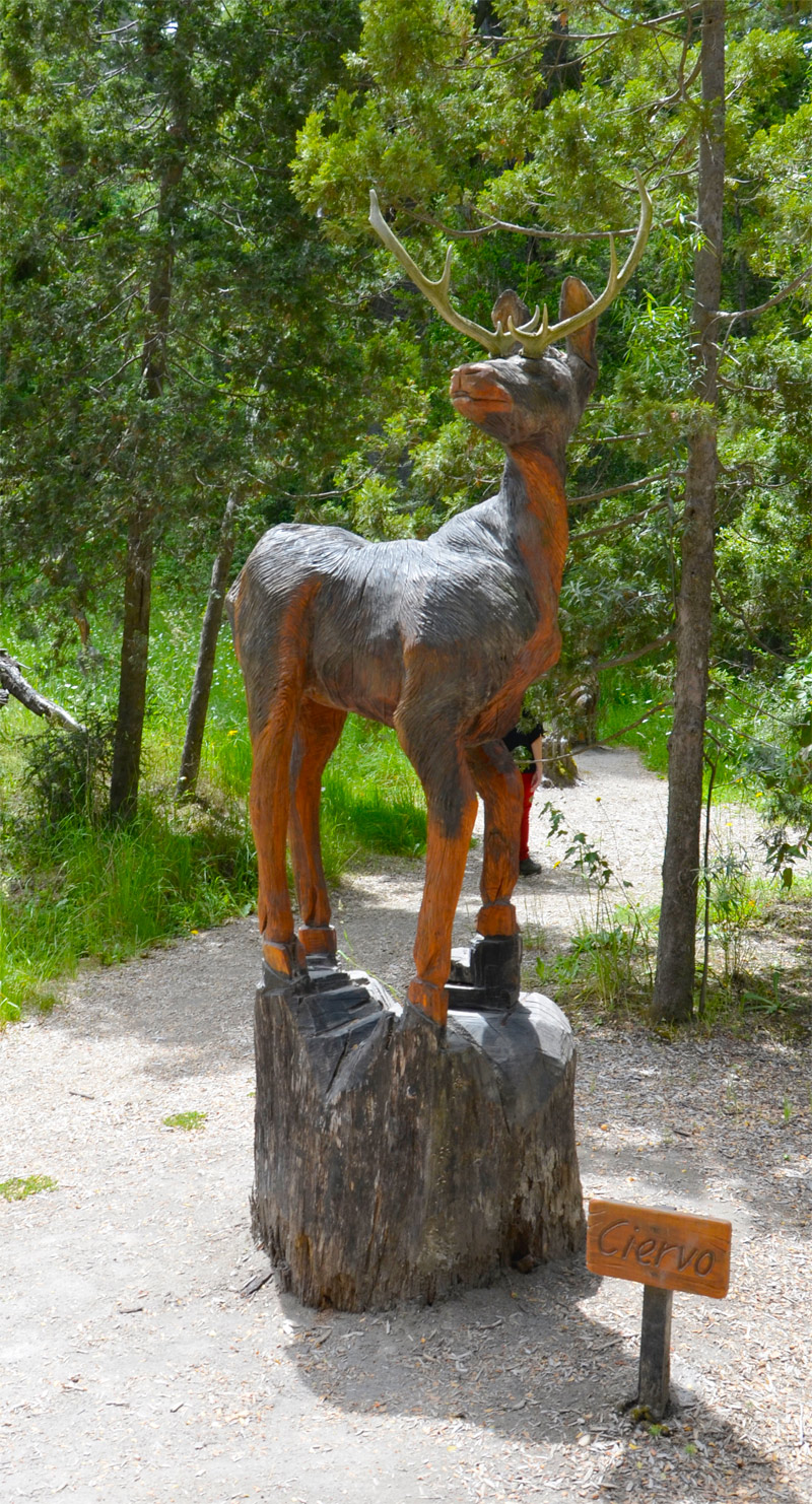 Villa la Angostura 2015