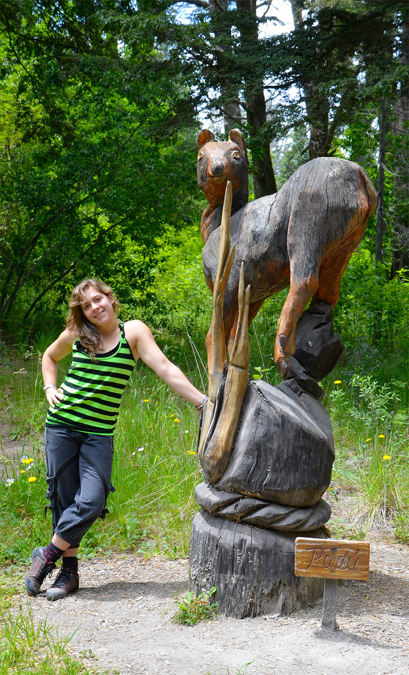 Villa la Angostura 2015