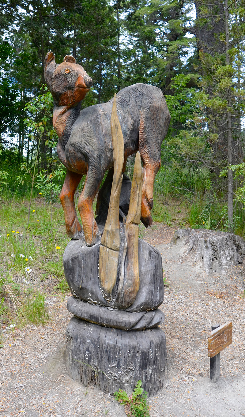 Villa la Angostura 2015