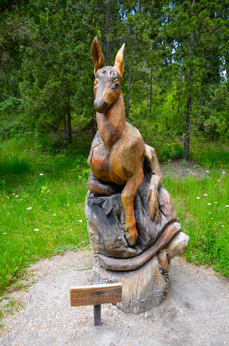 Villa la Angostura 2015