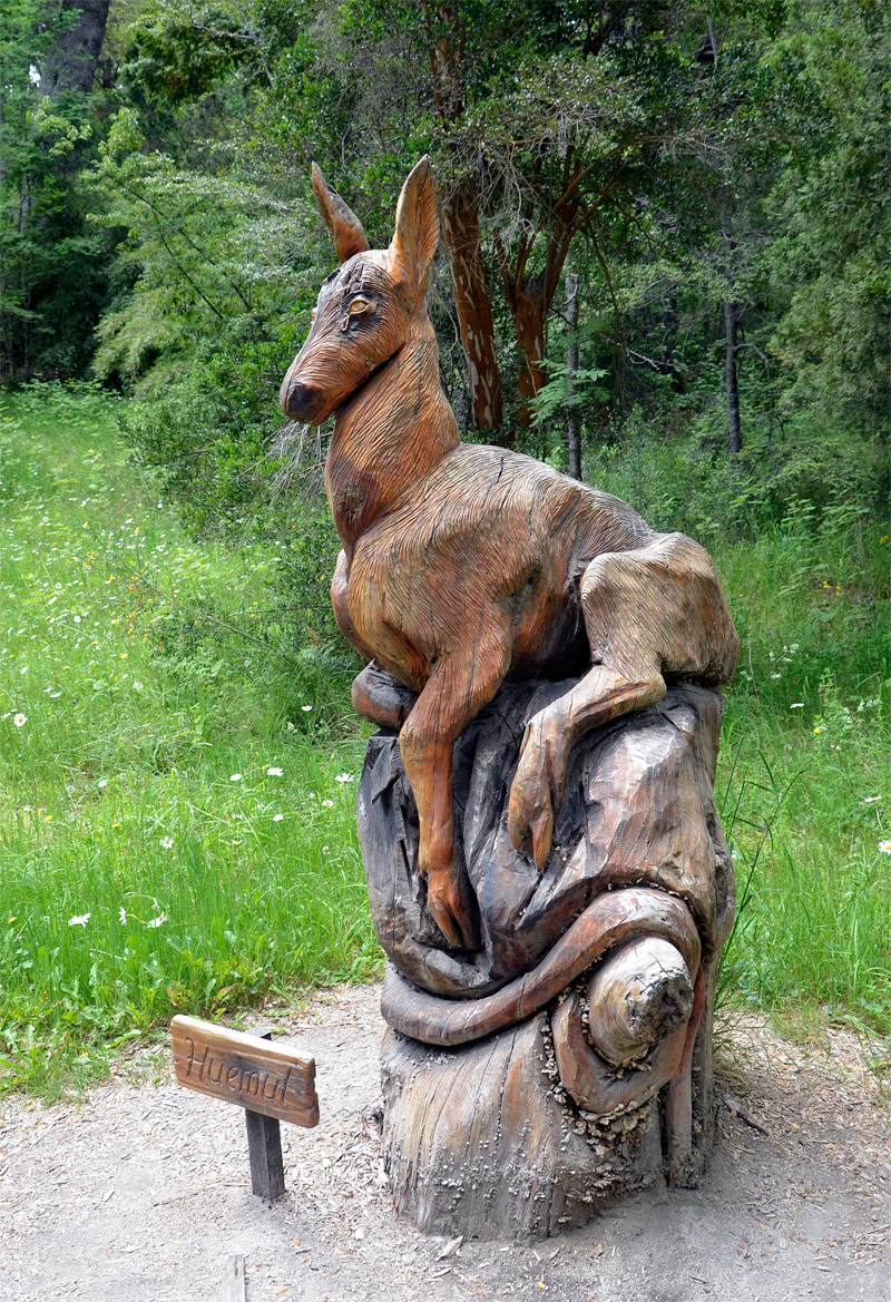 Villa la Angostura 2015