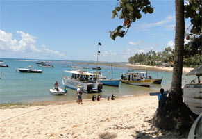 Bah�a (Brasil) - Praia do Forte