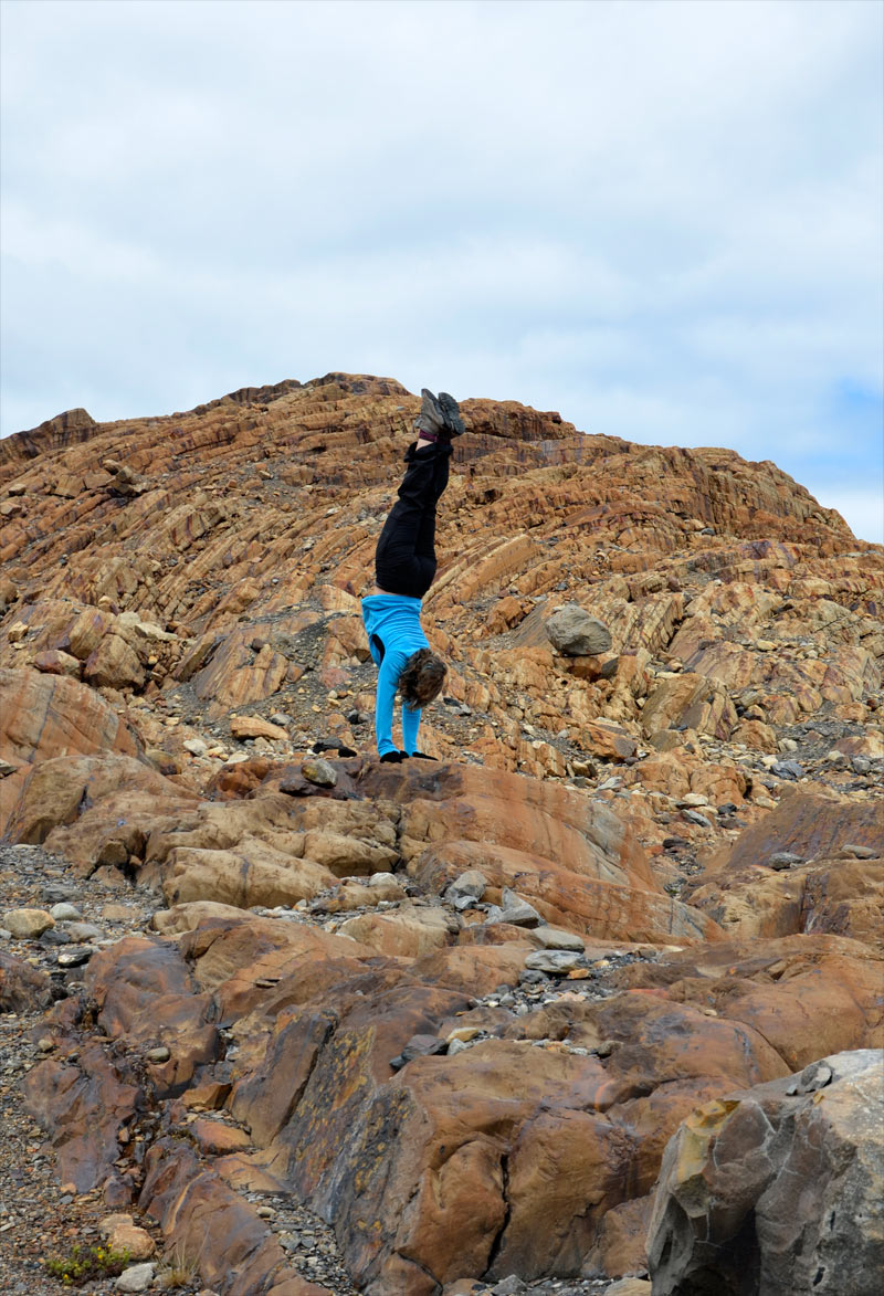 Estancia Cristina - Ca&ntilde;adon de los f&oacute;siles - Calafate