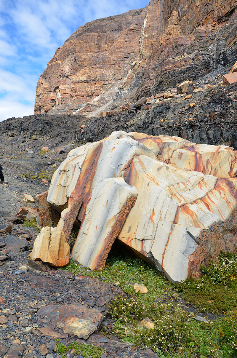 Estancia Cristina - Ca&ntilde;adon de los f&oacute;siles - Calafate