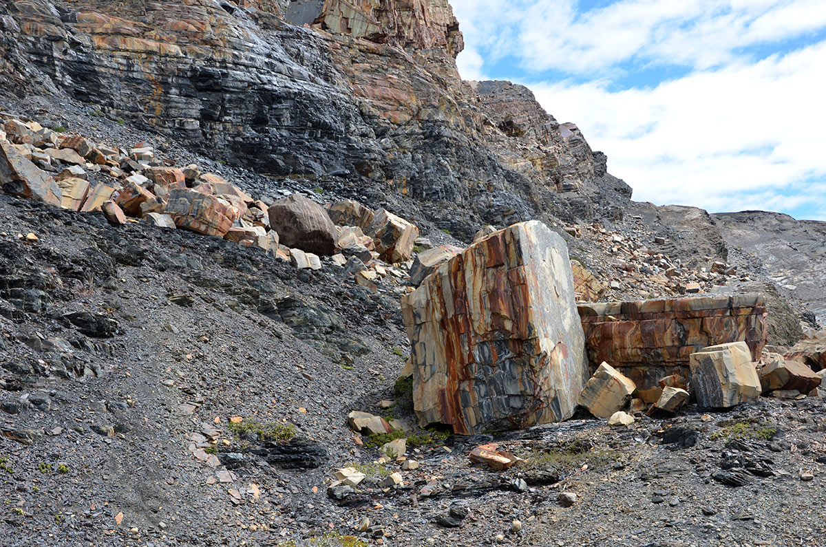 Estancia Cristina - Ca&ntilde;adon de los f&oacute;siles - Calafate