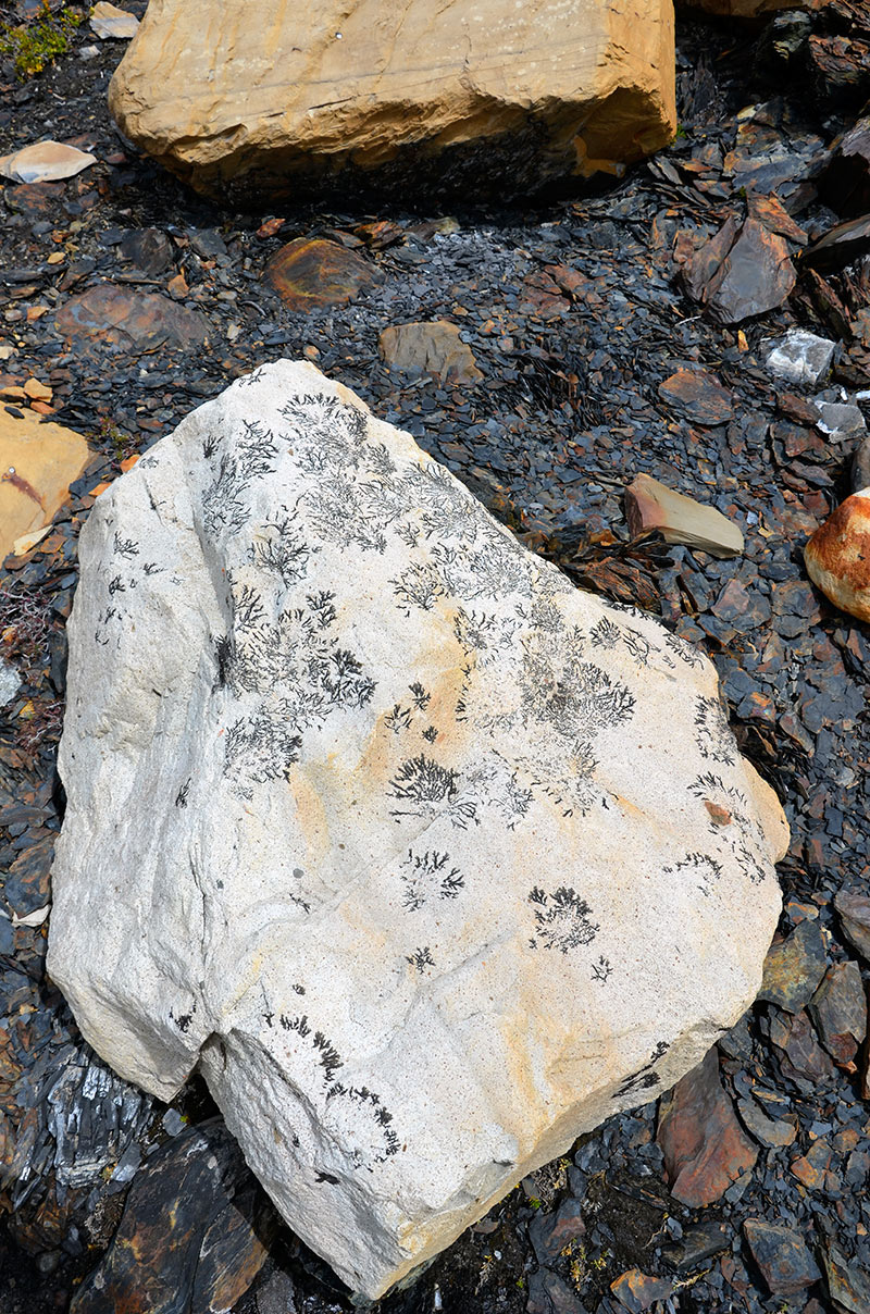 Estancia Cristina - Ca&ntilde;adon de los f&oacute;siles - Calafate