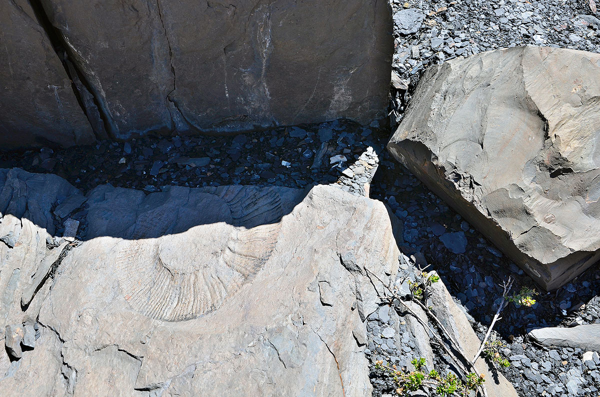 Estancia Cristina - Ca&ntilde;adon de los f&oacute;siles - Calafate