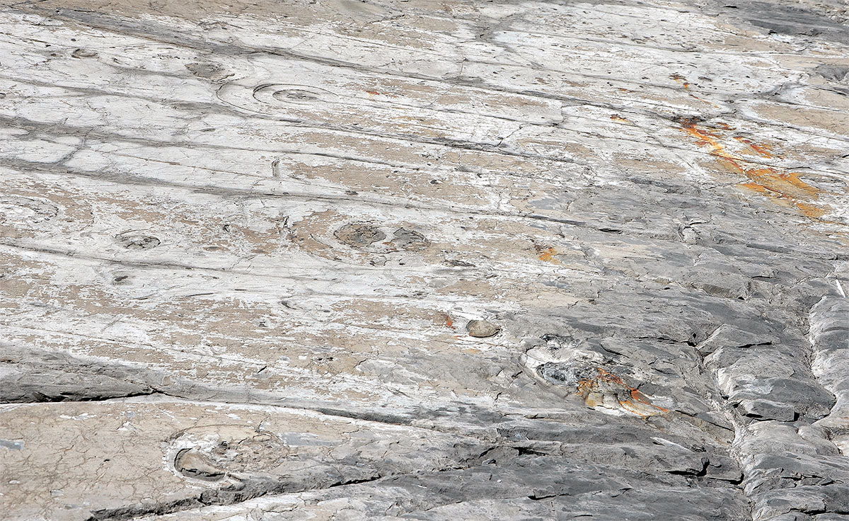 Estancia Cristina - Ca&ntilde;adon de los f&oacute;siles - Calafate